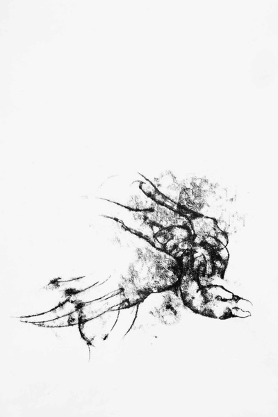 Vulture - Monotype