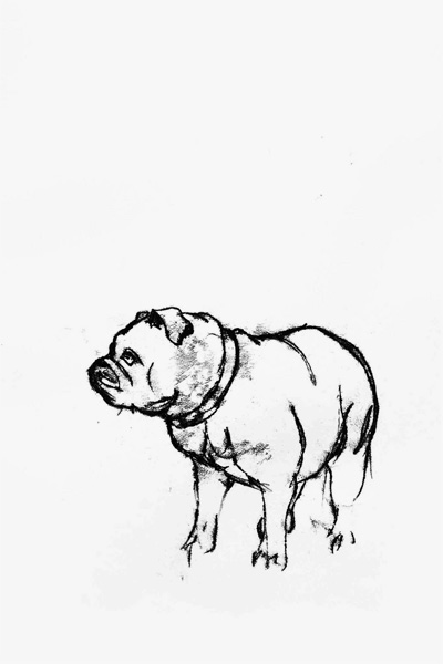 Bulldog - Monotype