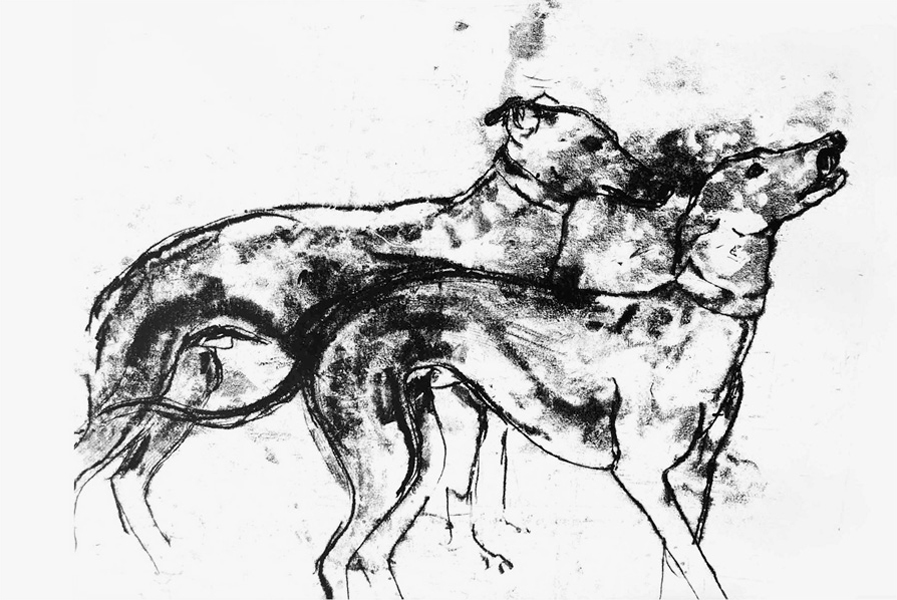 Greyhounds - Monotype