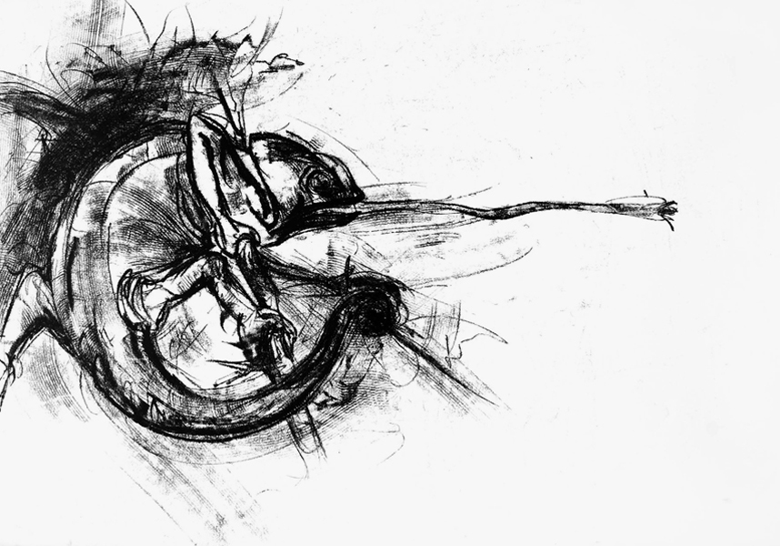 Gecko - Monotype